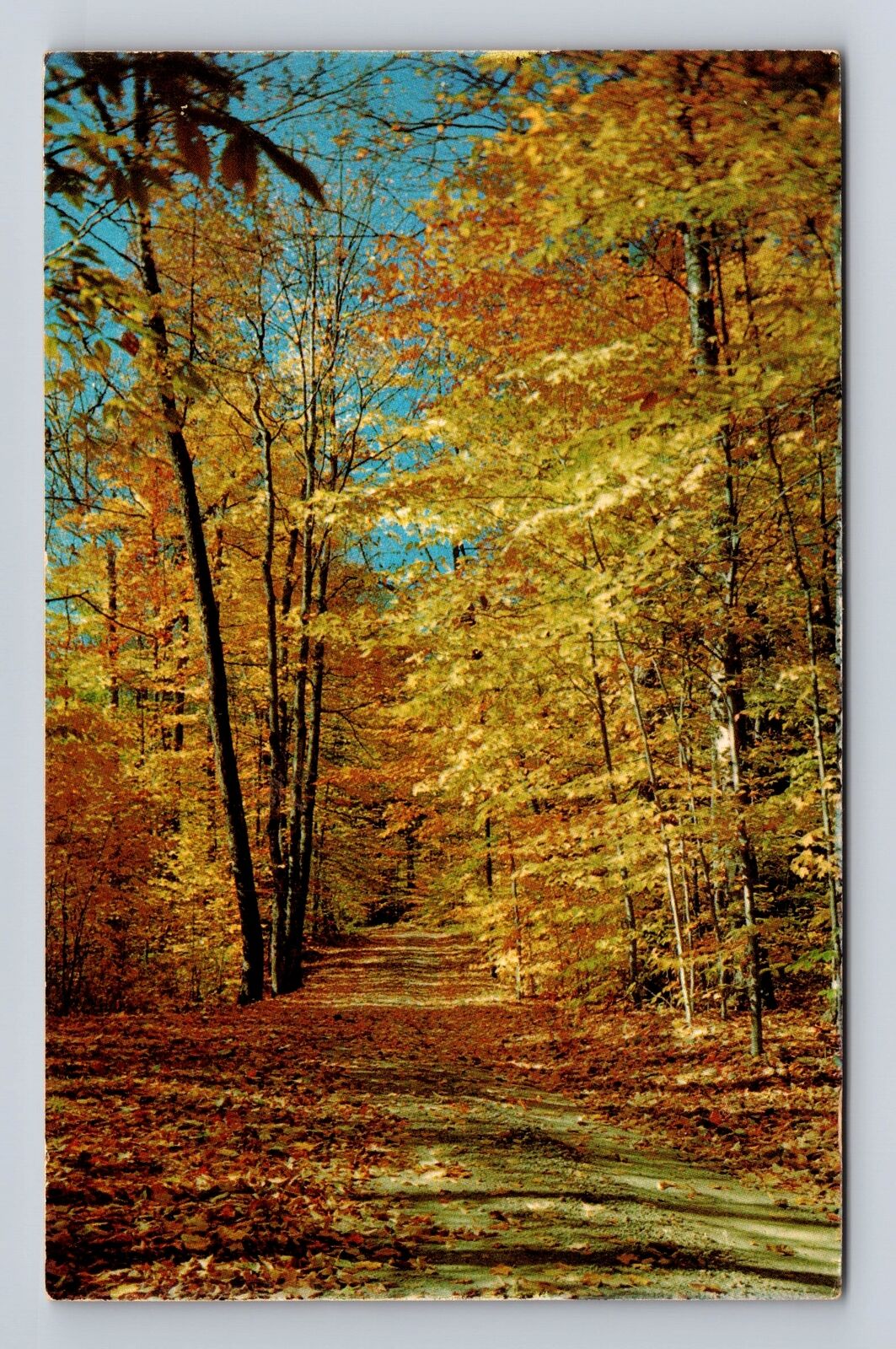 New Philadelphia OH-Ohio, General Greetings, Autumn Serenity, Vintage Postcard