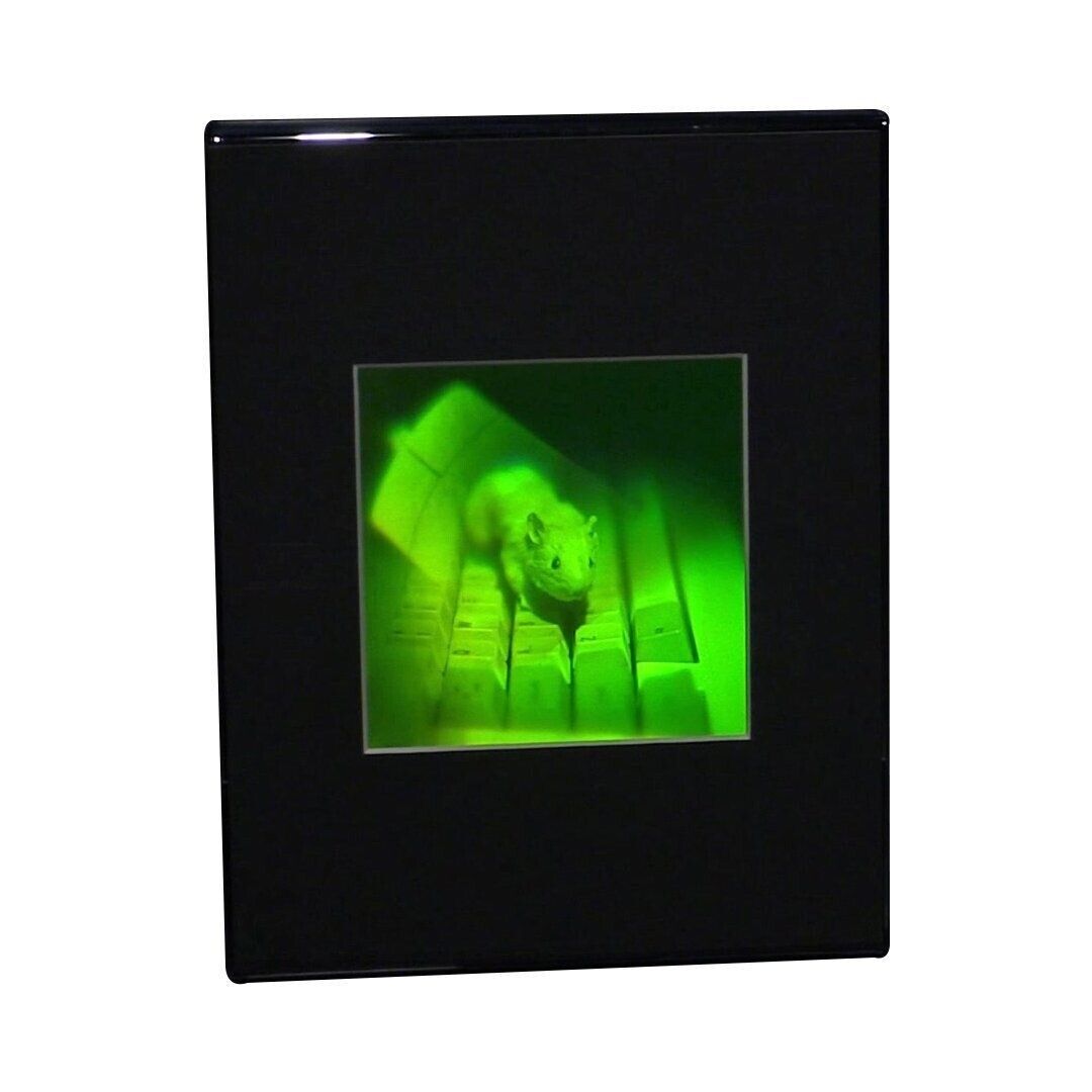 3D Mouse Multi-Channel Hologram Picture DESK STAND, Polaroid Photopolymer Film