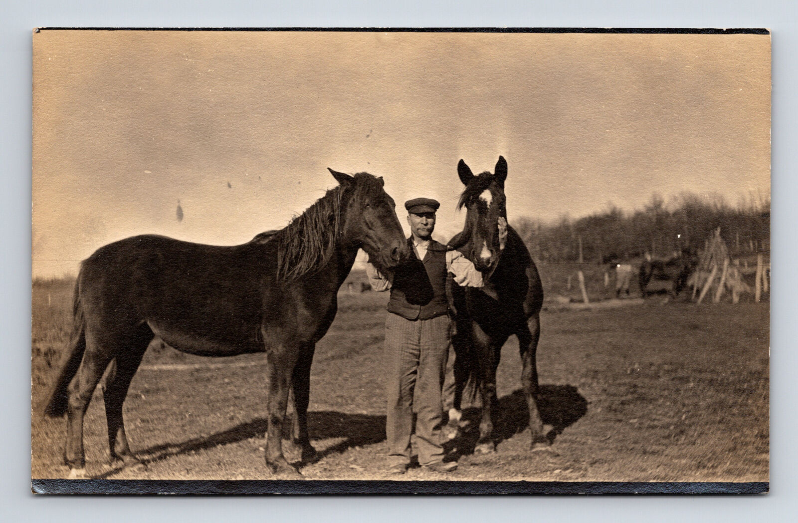 RPPC Man on Farm With Two Horses Real Photo Postcard