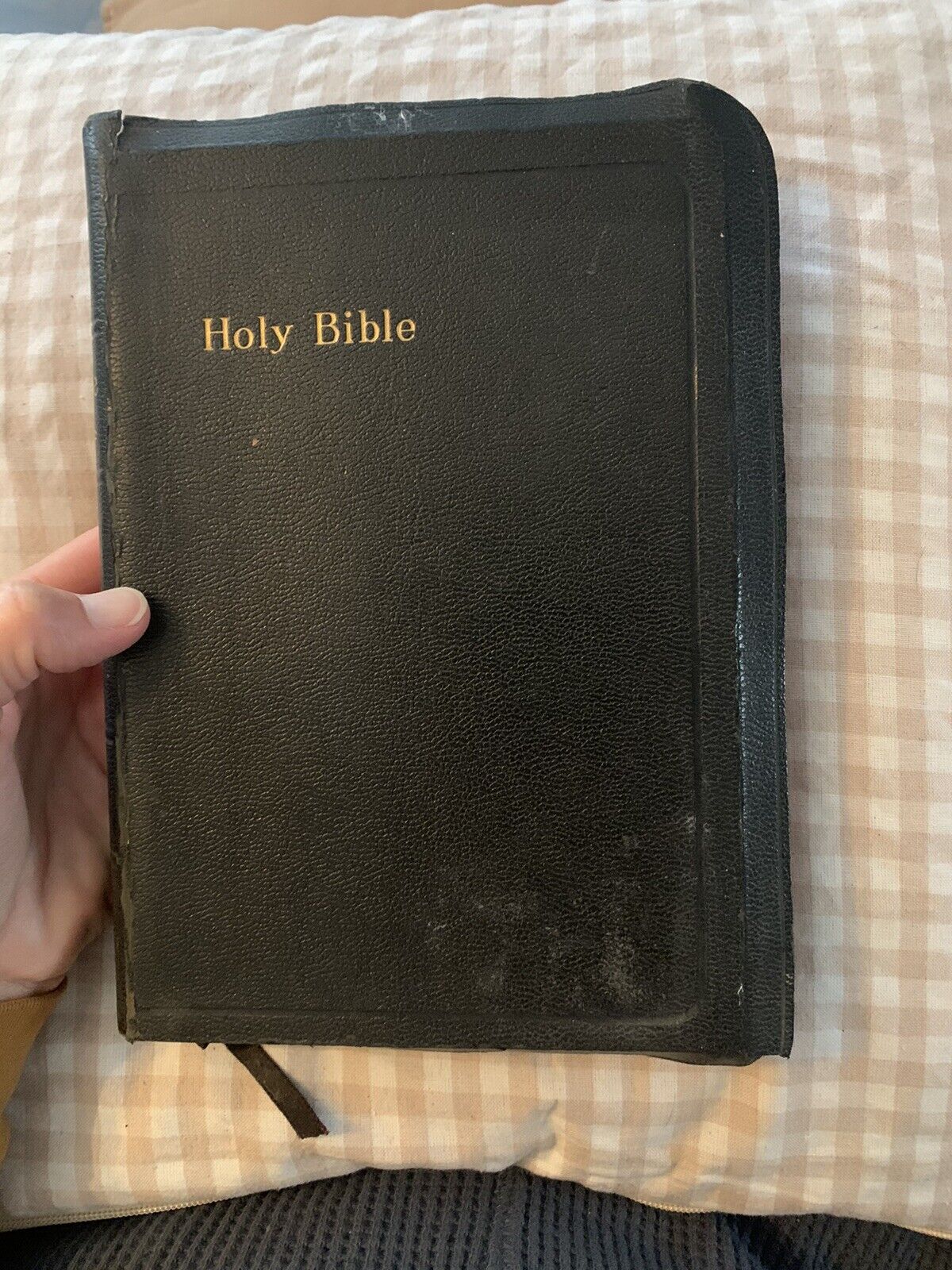 1901 ASV American Standard Version Holy Bible Vintage