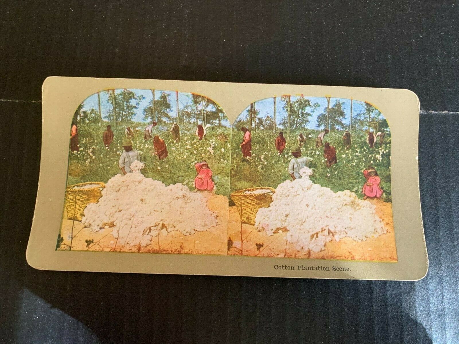 circa 1900 Cotton Plantation Scene Color Stereoview Card