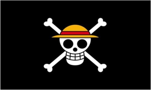 One Piece Luffy Straw Hat Pirate 2x3 FT Flag Banner Bedroom Living Room