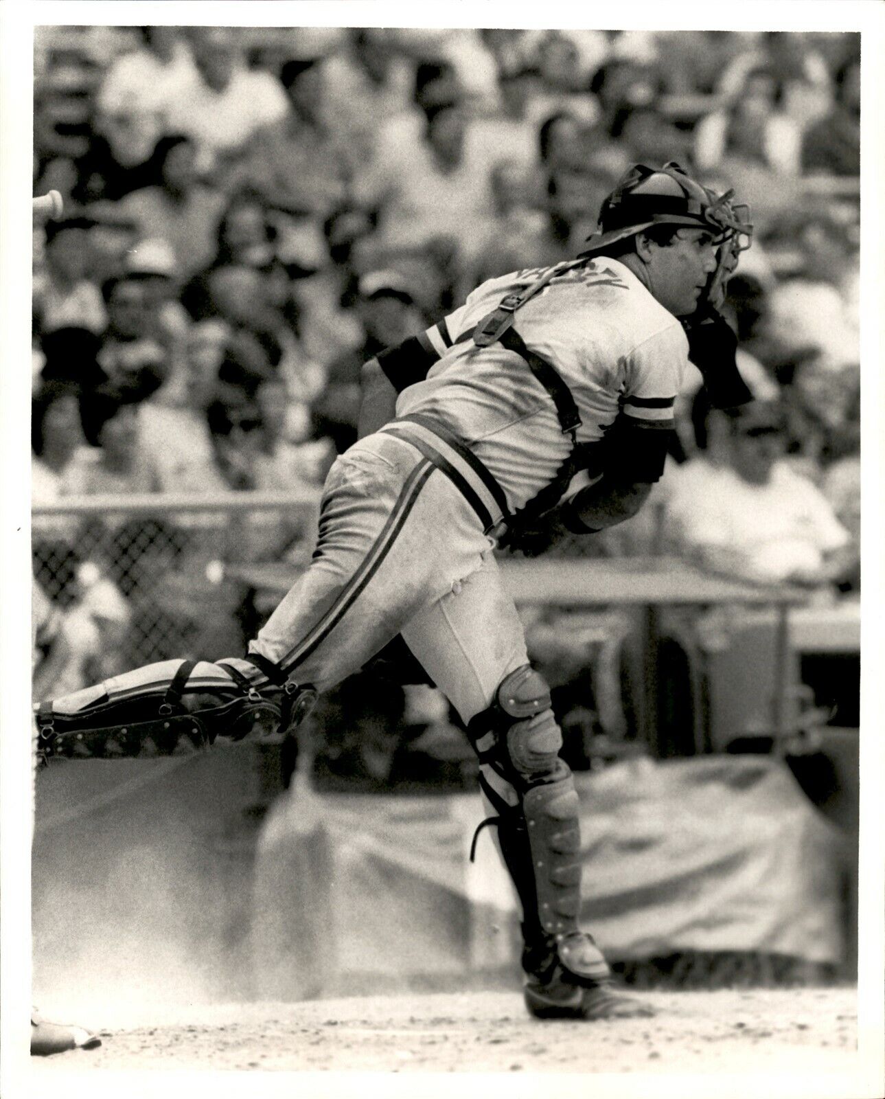LG934 1982 Original Malcolm Emmons Photo RON HASSEY Cleveland Indians Catcher