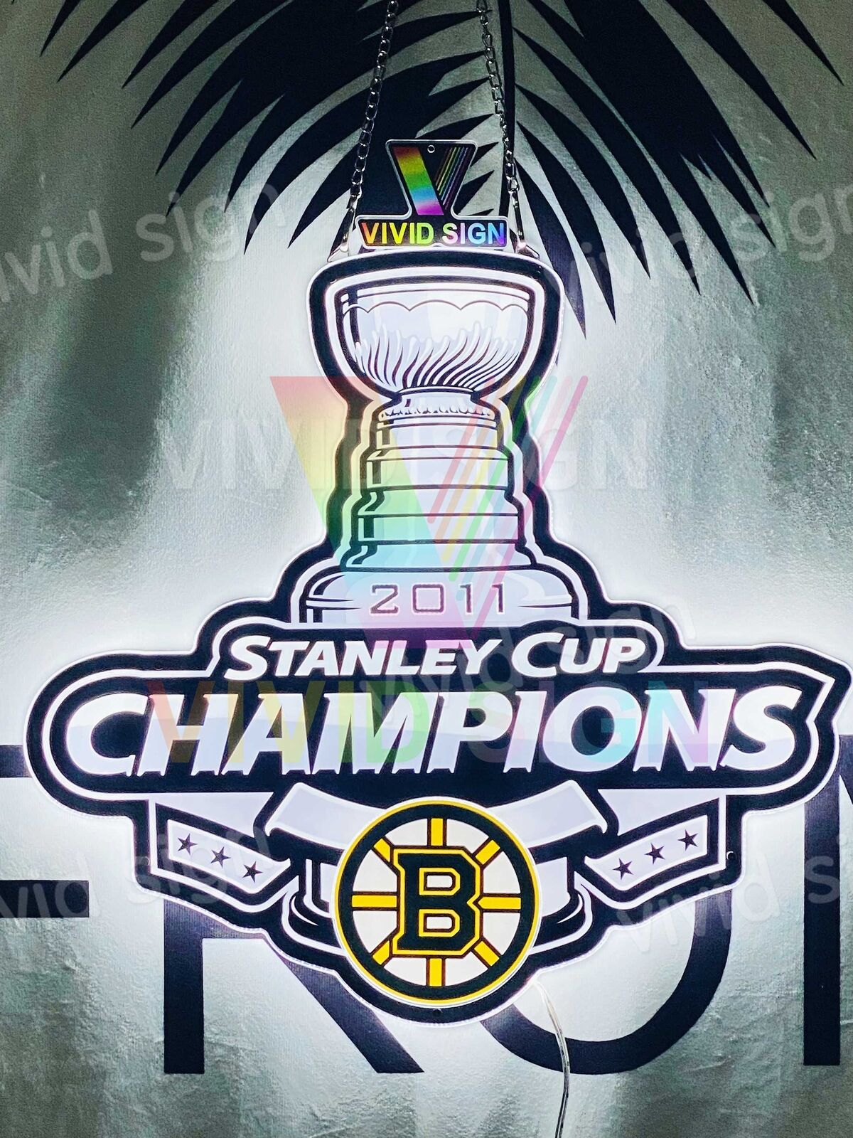Boston Bruins 2011 Champions 3D LED 16\