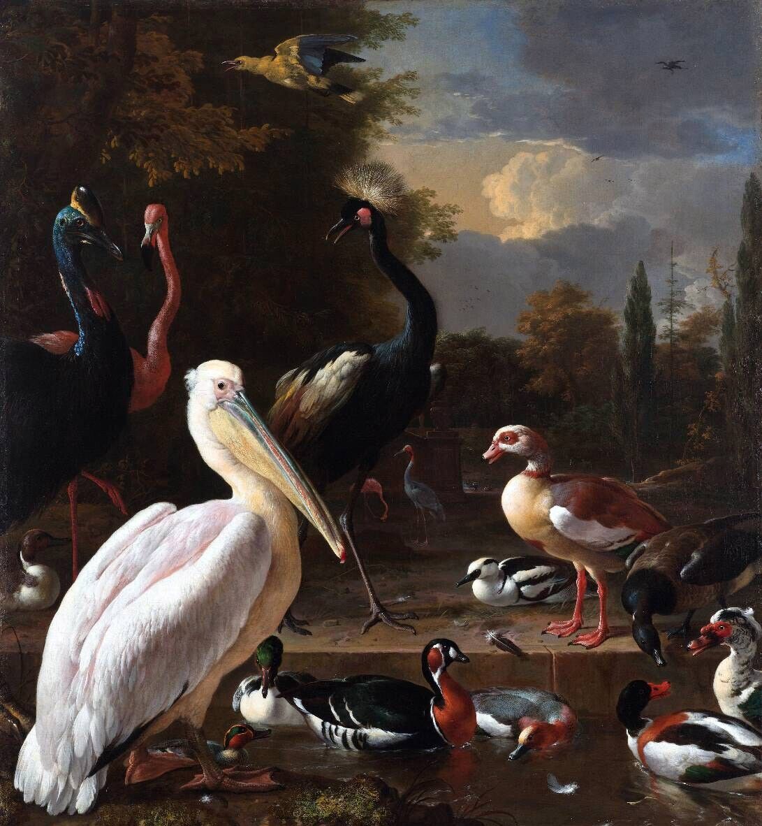 Dream-art Oil painting Melchior-De-Hondecoeter-The-Floating-Feather birds ducks