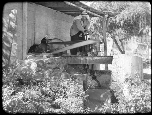 Palestine Jericho & Banana Plantation man operating some equipment - Old Photo