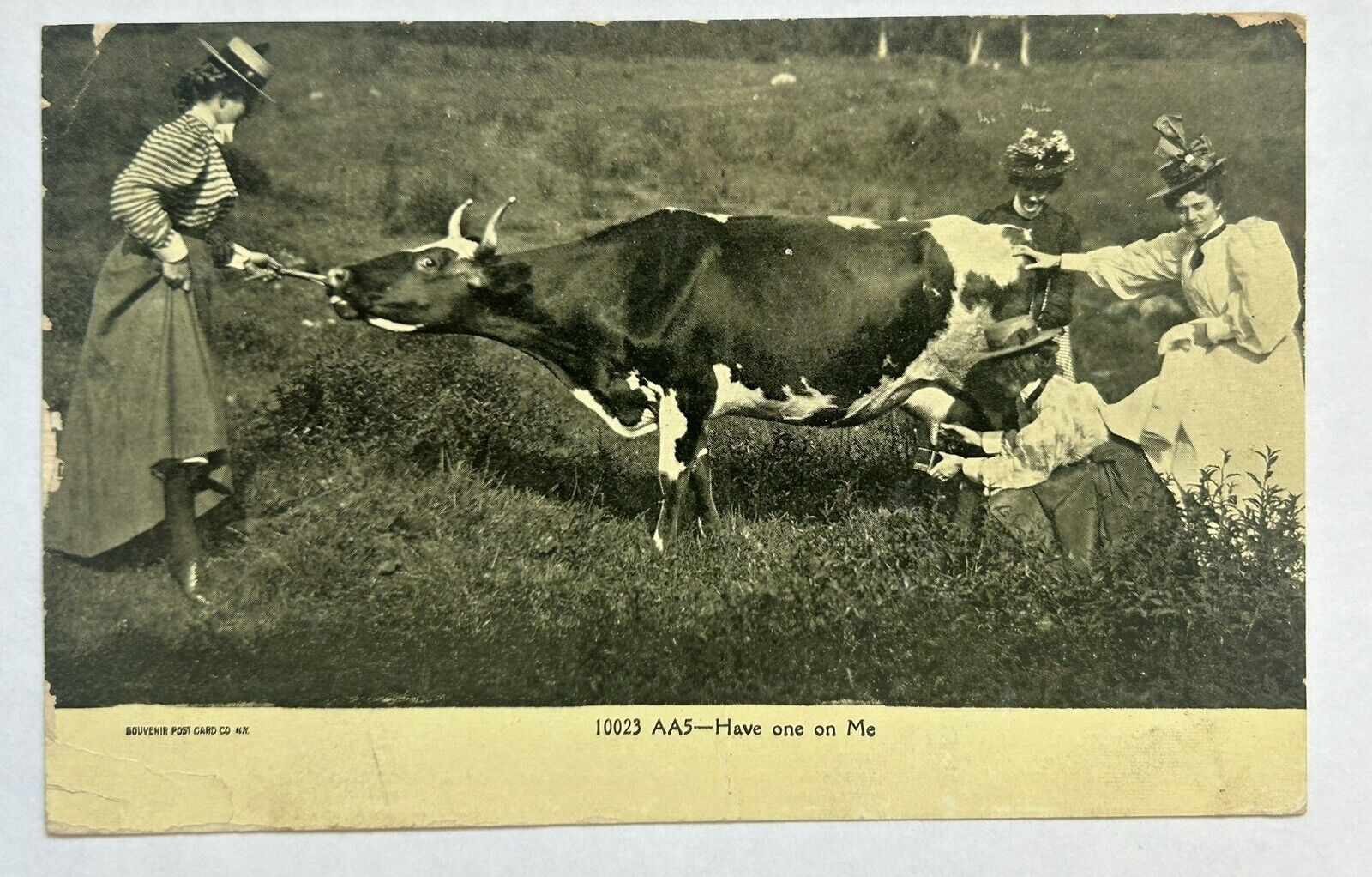 1907 Women Milking A Cow. ￼Funny Vintage Postcard