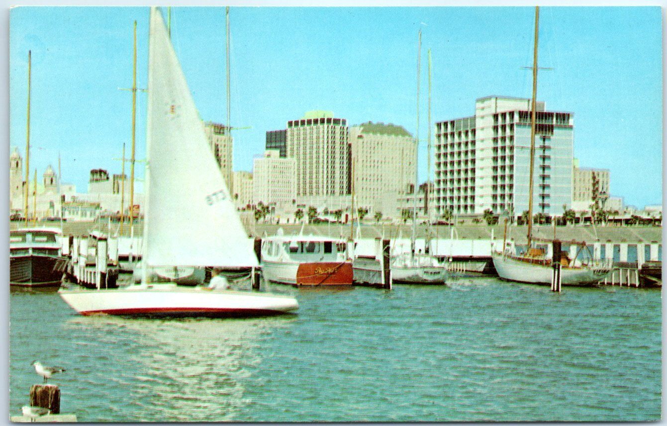 Postcard - Yacht Basin - Corpus Christi, Texas