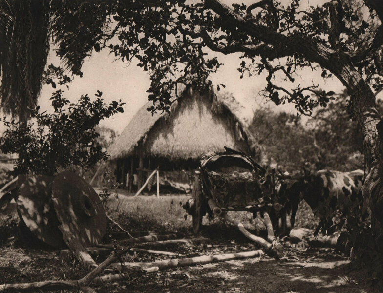 Midday rest on a ranch. Mojos pampas, Beni Department. Bolivia 1928 old print
