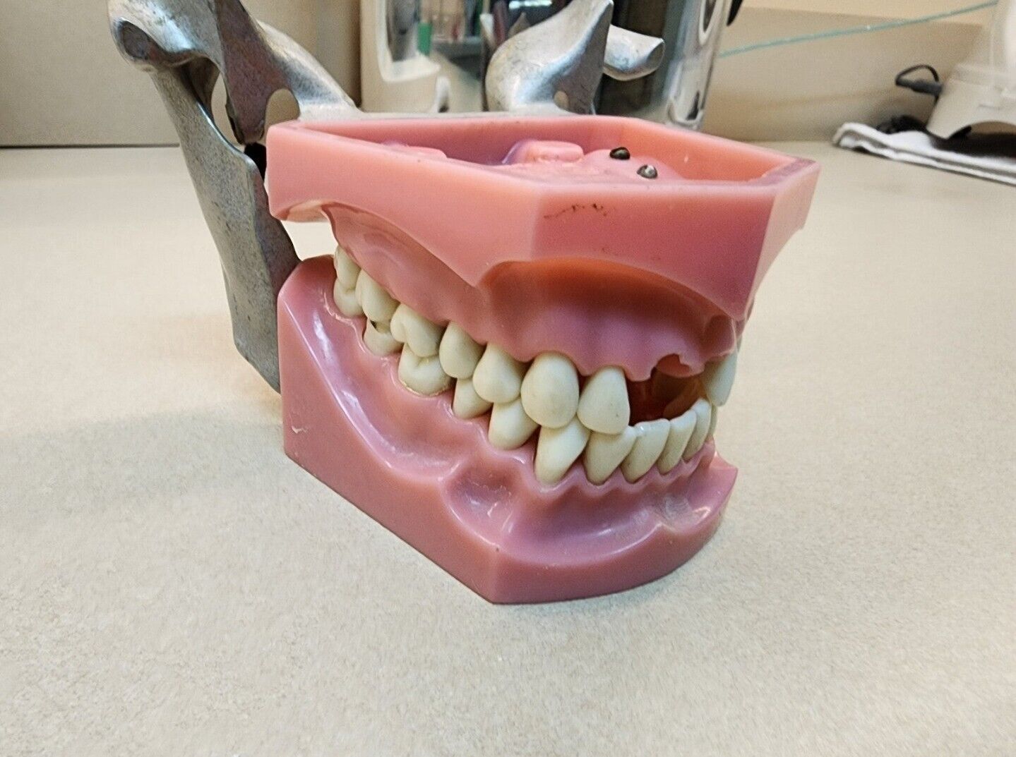 Colombia Denture Corp Model/ Dental School Practice teeth