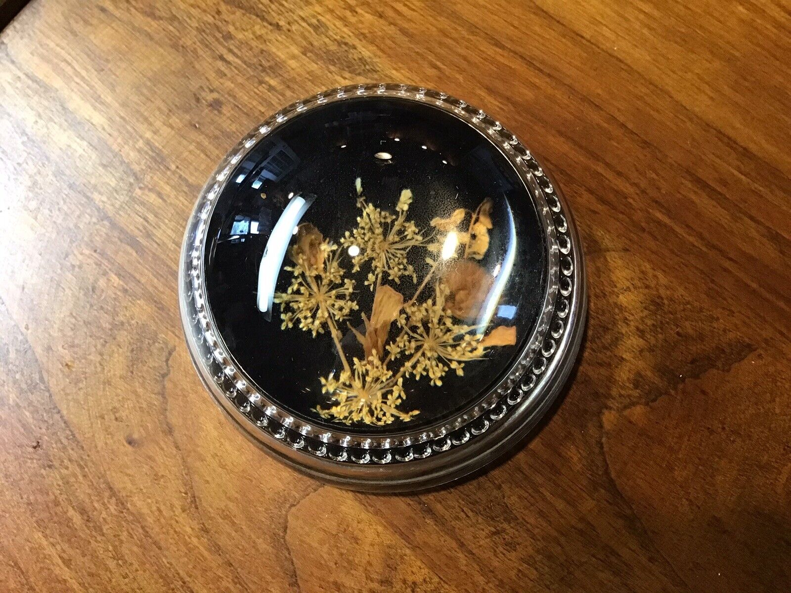 VINTAGE 1960-70s DRIED FLOWERS SEALED IN GLASS DOME BUBBLE PAPERWEIGHT MAGNIFIED