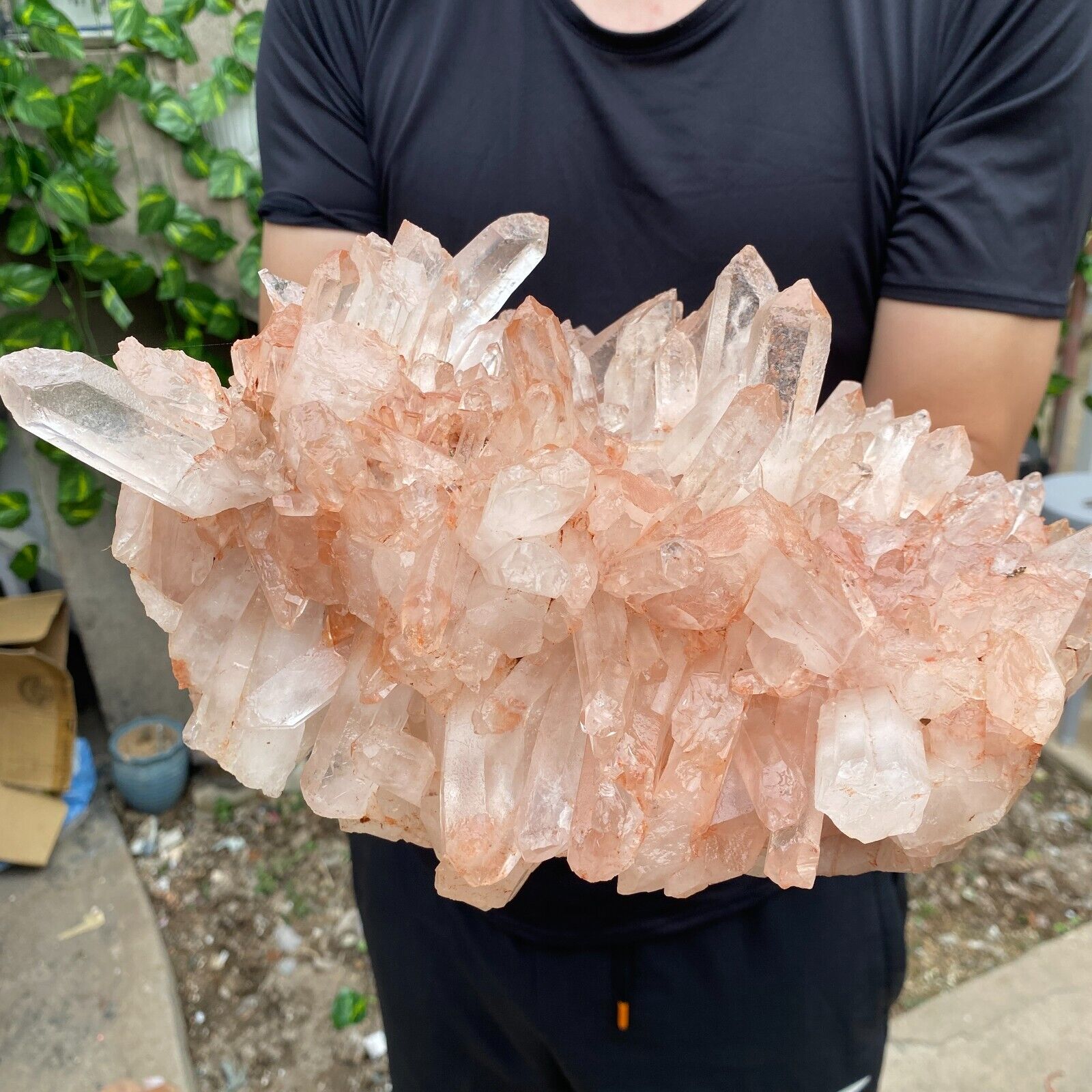 11.8lb A++Large Natural clear white Crystal Himalayan quartz cluster /mineralsls