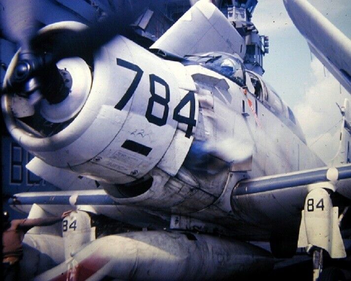 Douglas EA-1F Skyraider aboard Carrier USS Intrepid 8x10 Vietnam War Photo 704