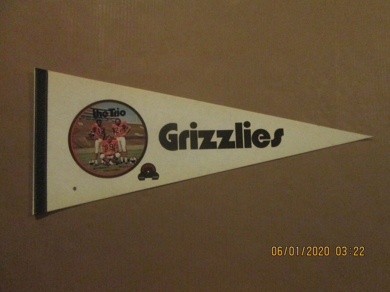 WFL Memphis Grizzlies Vintage Defunct Circa 1970\'s The Trio Photo Logo Pennant