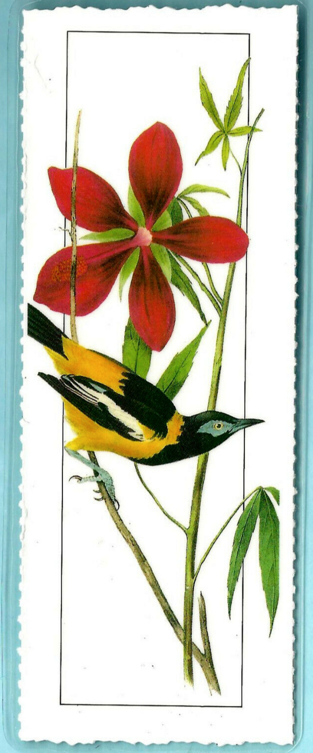 American Bird Bookmark John James Audubon Venezuelan Troupial Animal Lover Gifts