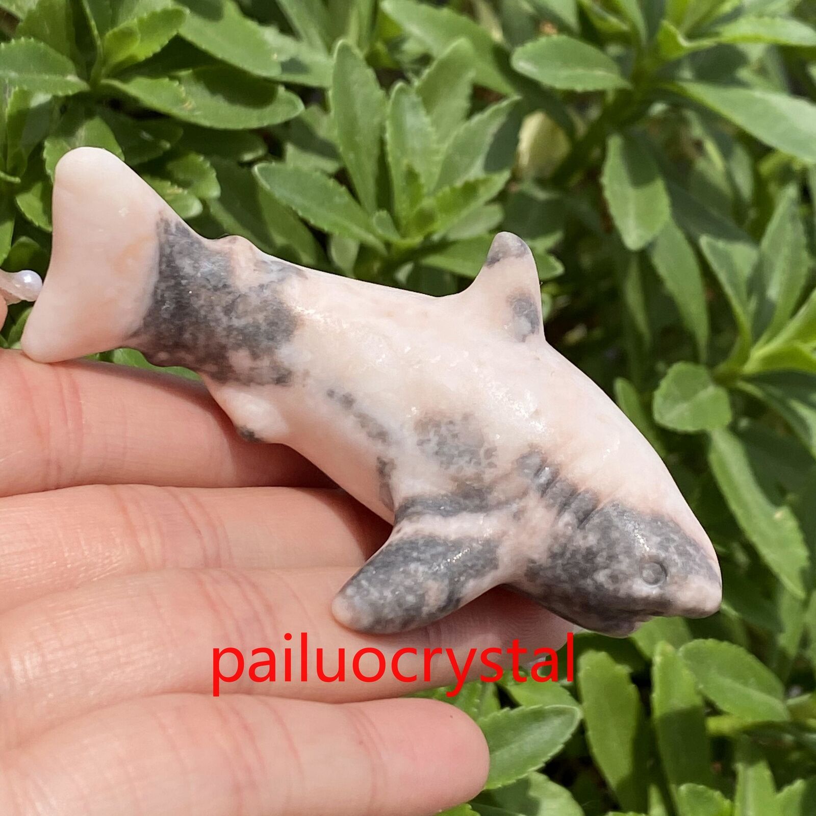 1pcs Natural Pink Zebra Shark Quartz Crystal Skull Carved Figurines Healing 3\