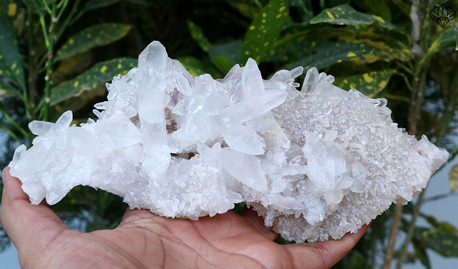 476 gm Fabulous Pointed White Quartz Crystal Rough Quartz Minerals Raw Specimen