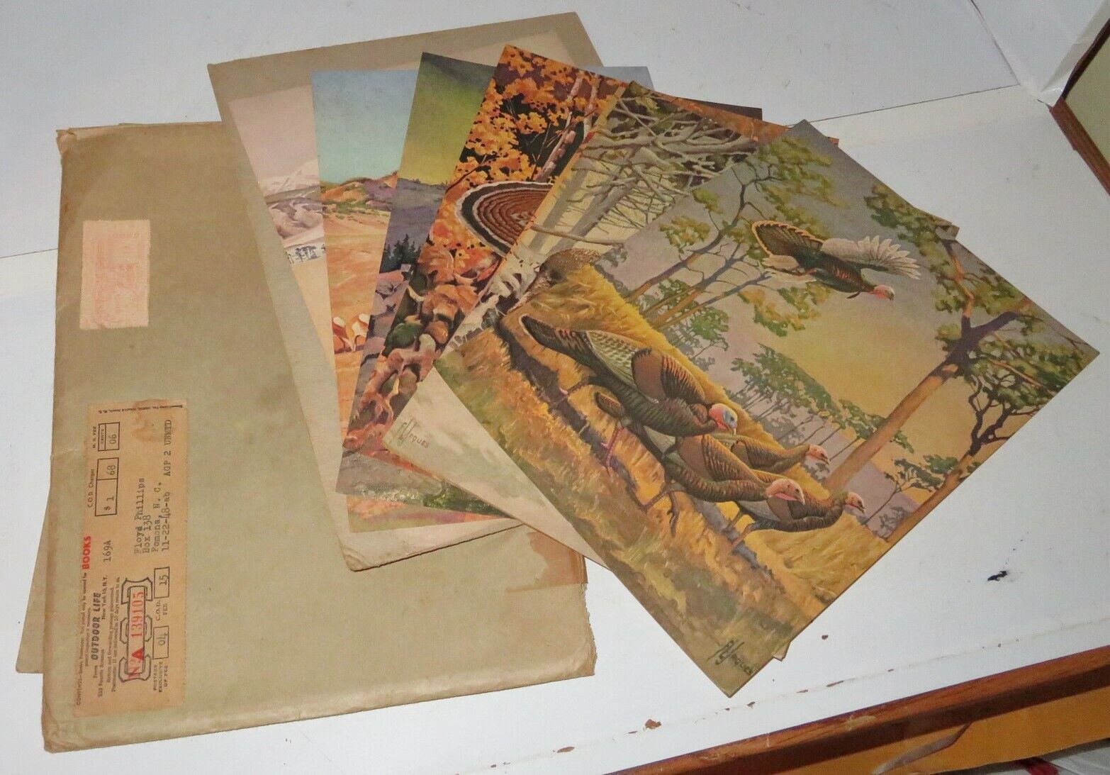 6 Pc Animal Print 1948 Artist Signed F L Jacques Outdoor Life w Postal Envelope