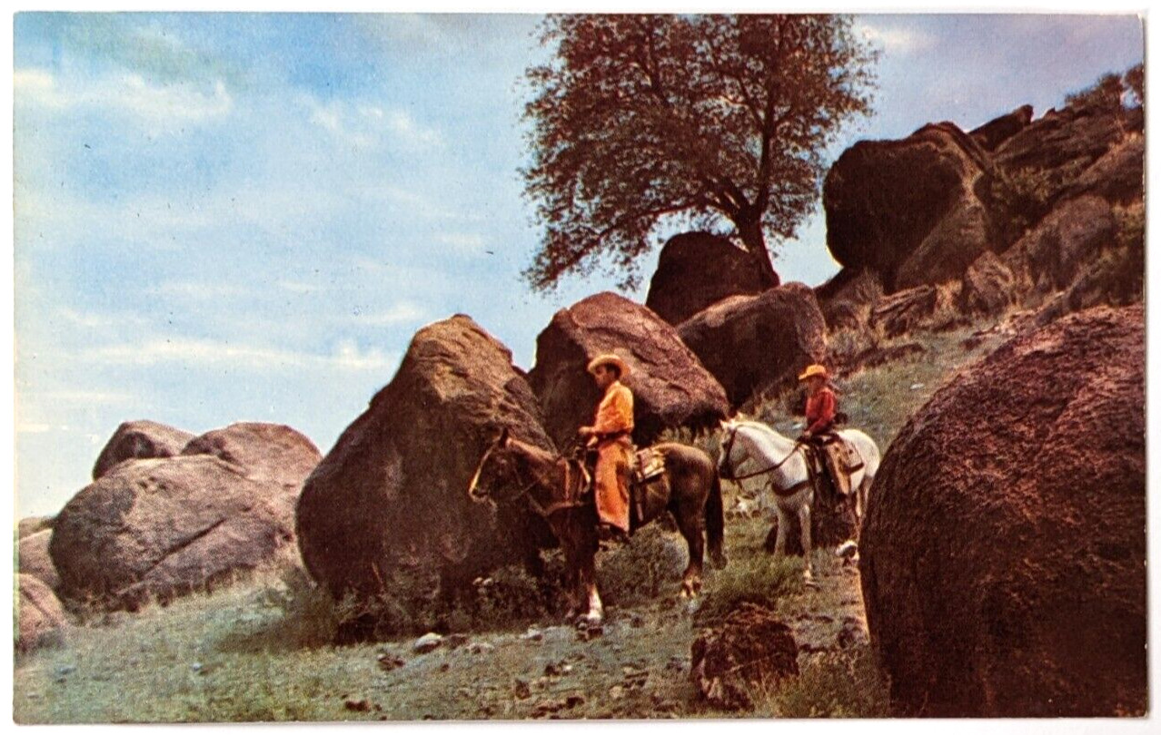 Riding the Range in Texas Postcard Cowboys on Horses Amongst the Pebbles (Rocks)