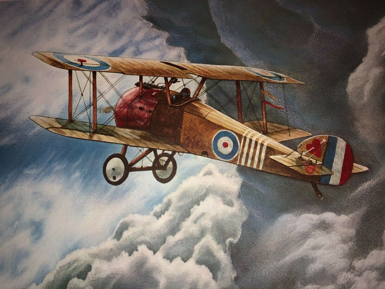 Sopwith Camel Print by Bruce Robert Hassell. SIGNED Measures 15 1/2\