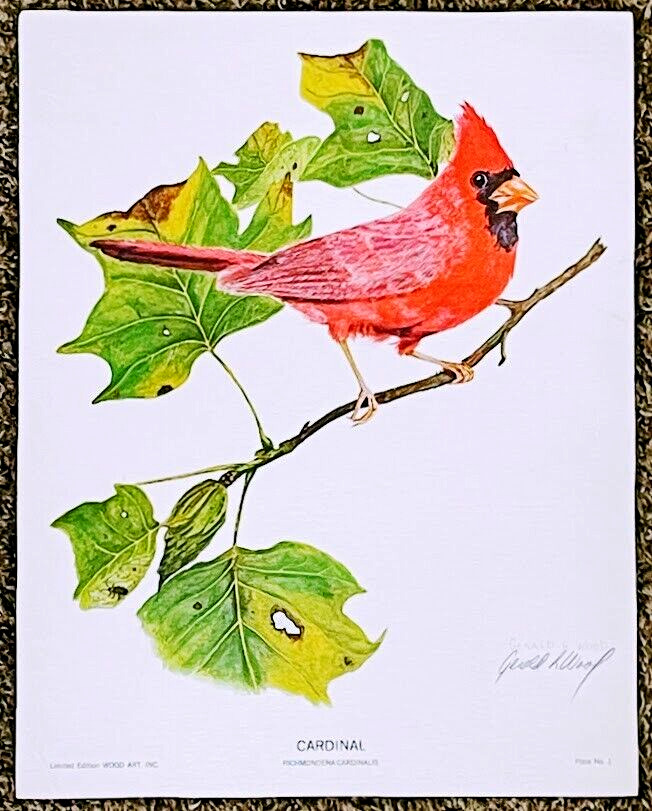 ART Gerald Wood CARDINAL Bird Print Limited Edition Artist Signed 14x11\