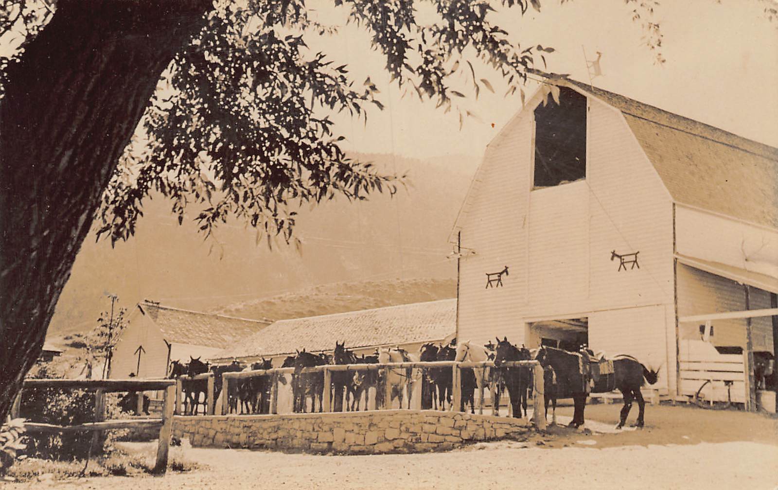 J82/ Wolf Wyoming Postcard RPPC c1940s Eaton\'s Ranch Barn Horses 372