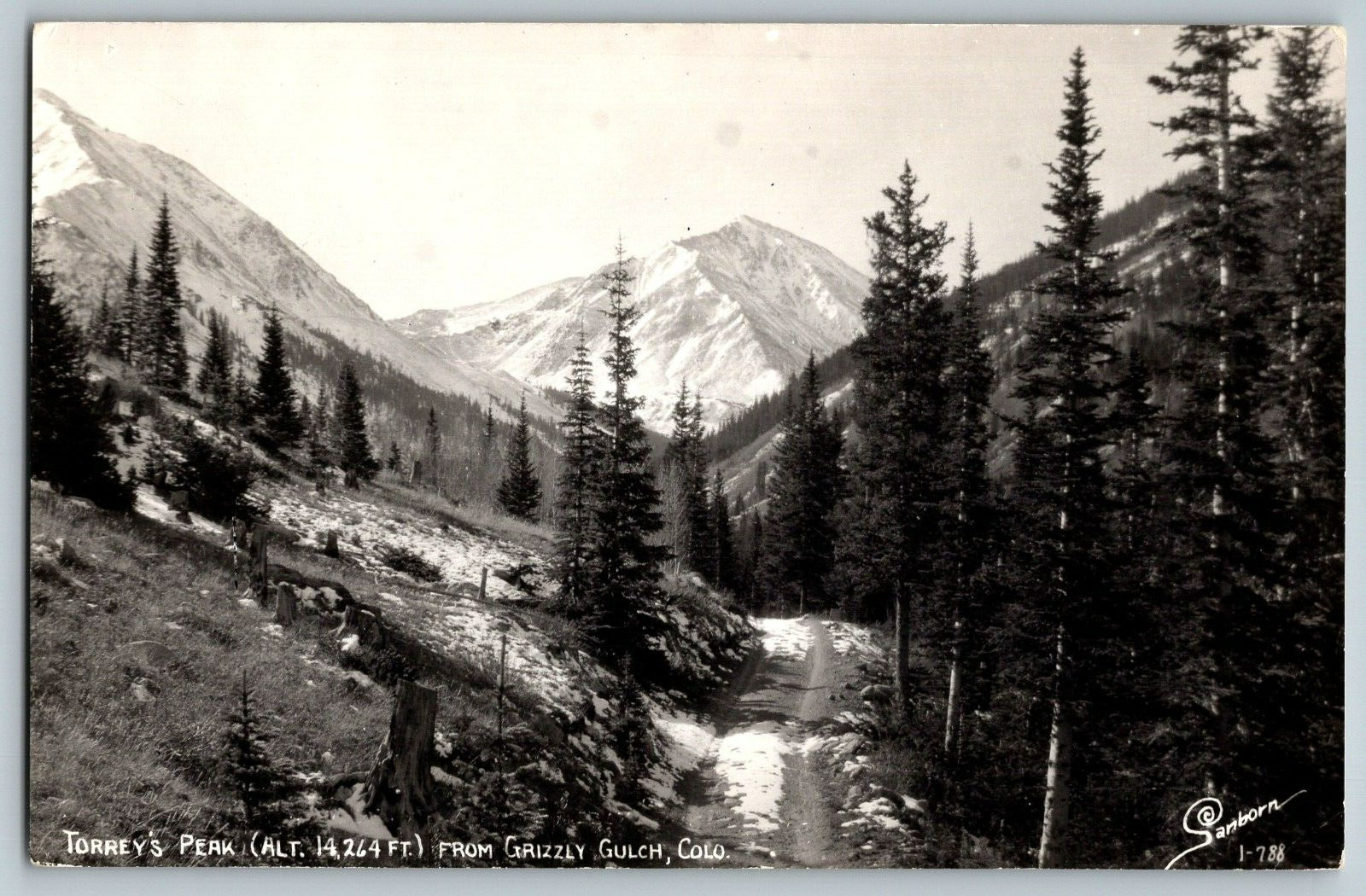 RPPC Vintage Postcard - Torrey\'s Peak. From Grizzly Gulch, Colorado - Real Photo