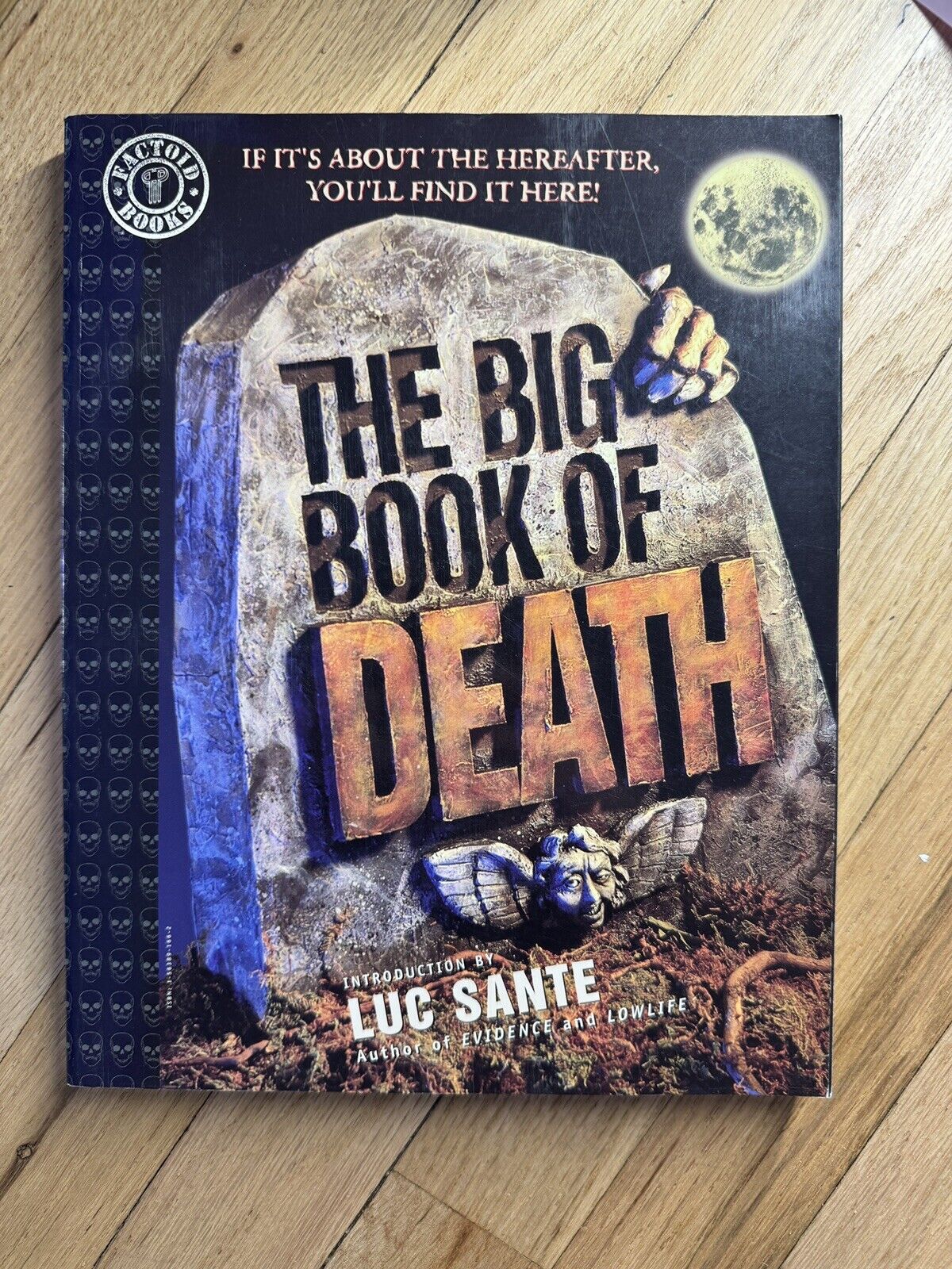 The Big Book of Death by Bronwyn Carlton  LUC SANTE  1995 Factoid Books Comic