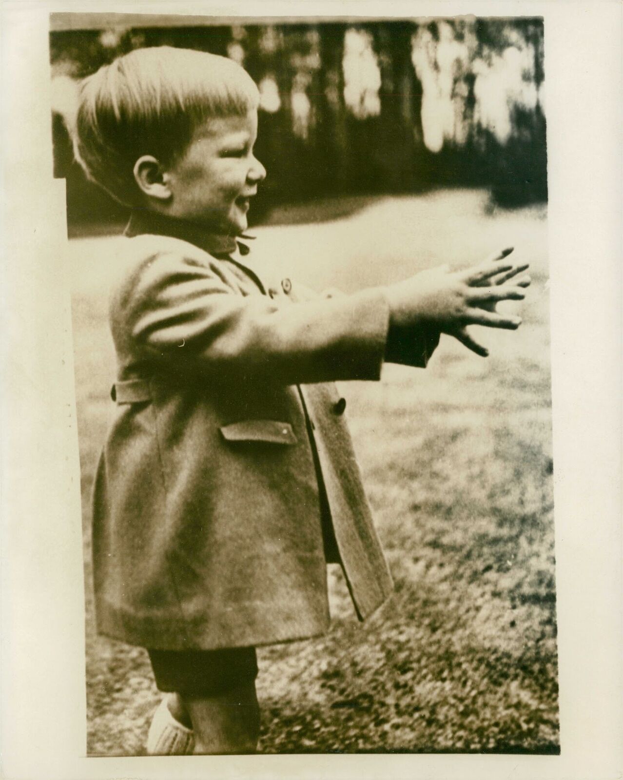 Belgium: Prince Phillippe. - Vintage Photograph 1202478