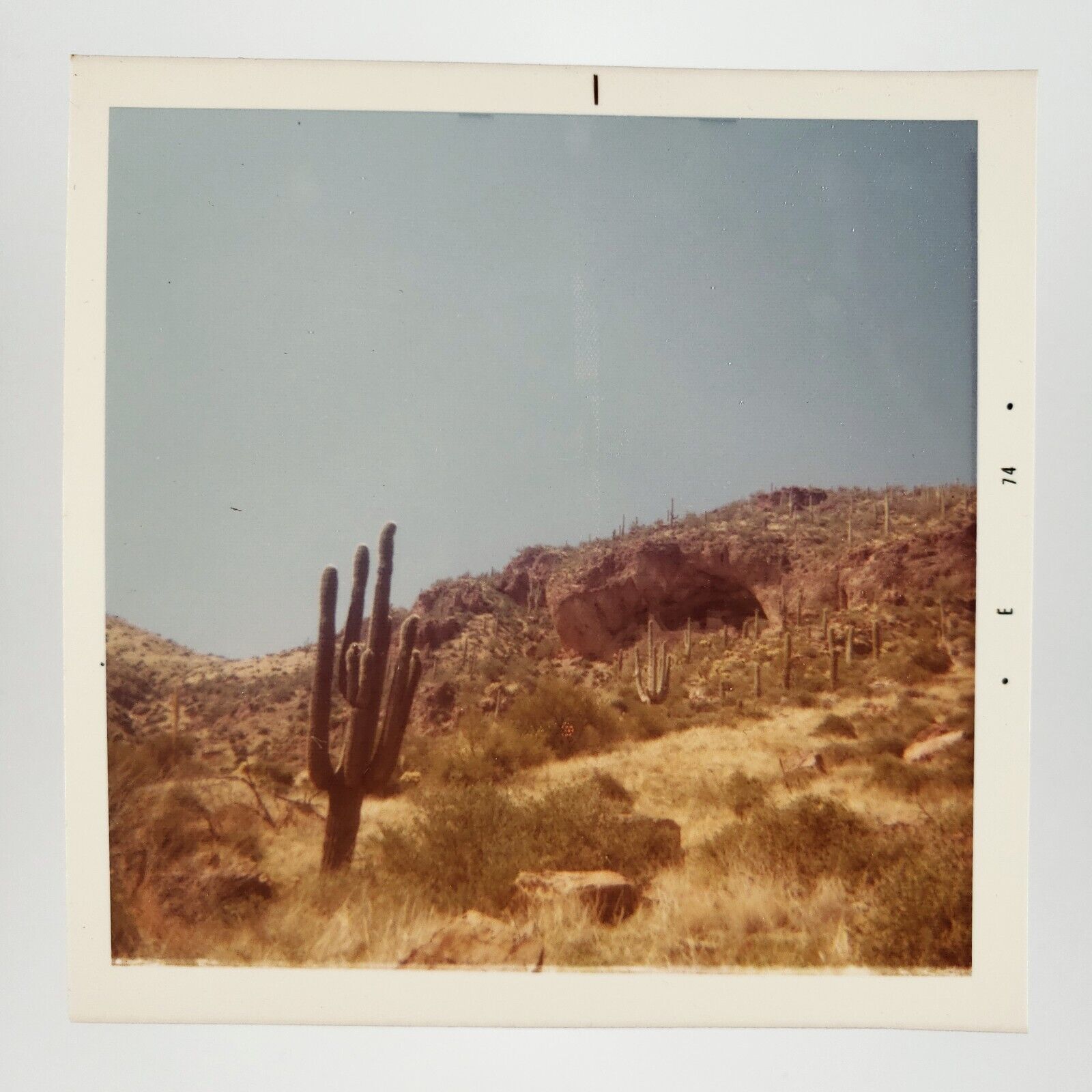Arizona Desert Saguaro Cactus Photo 1970s Retro Mountain Landscape Scenery E701