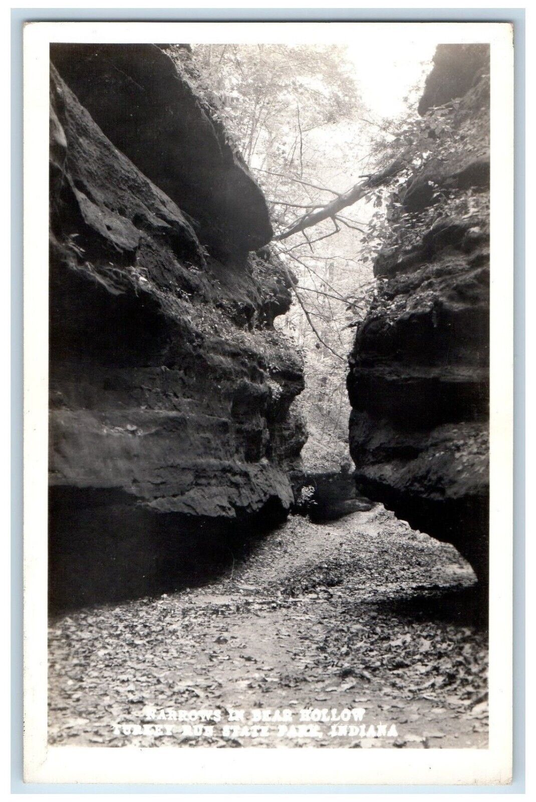 c1940s Bear Hollow Narrows Turkey Run State Park Marshall IN RPPC Photo Postcard