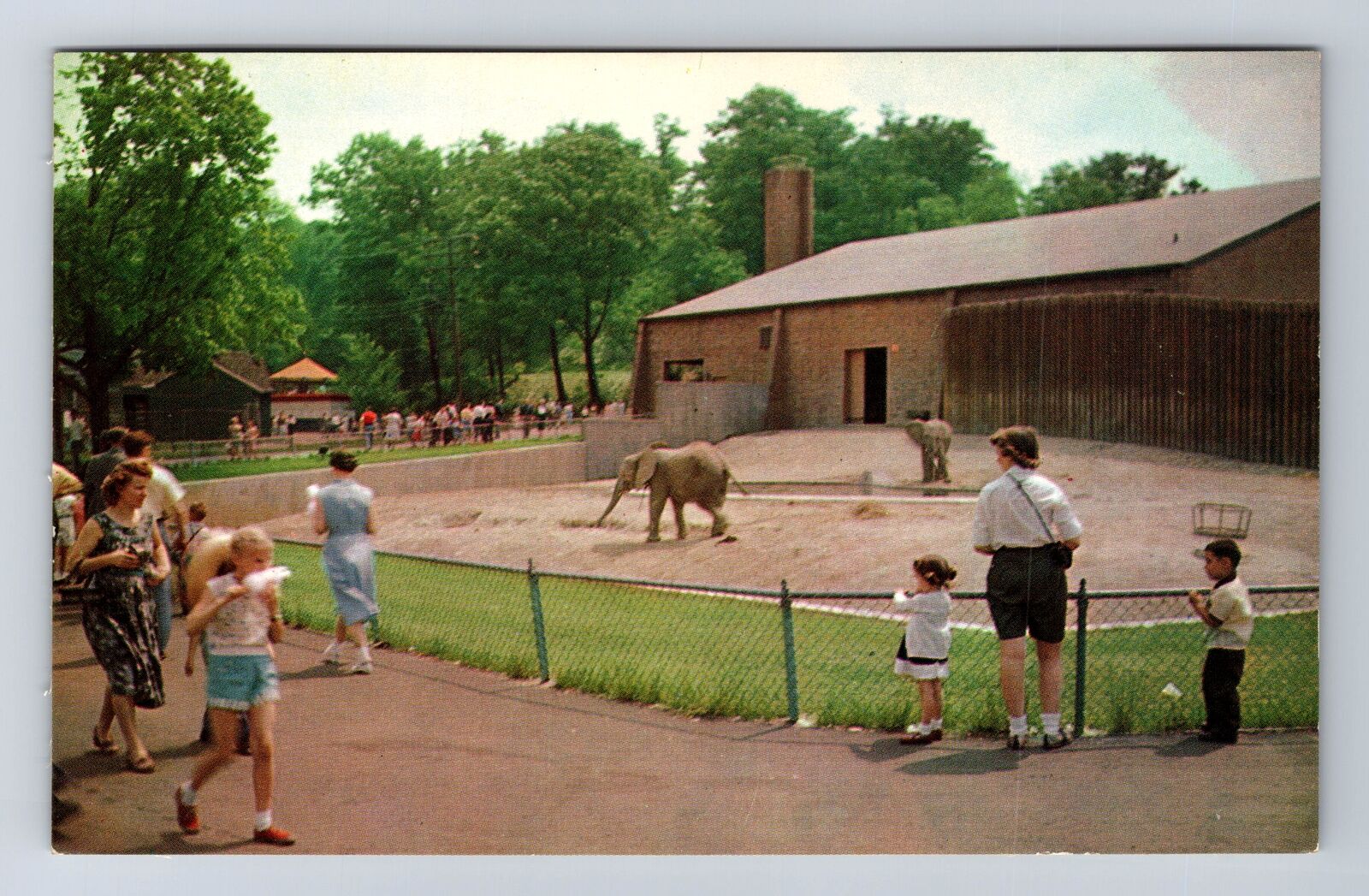 Cleveland OH-Ohio, Cleveland Zoo, Elephant Enclosure, Vintage Souvenir Postcard