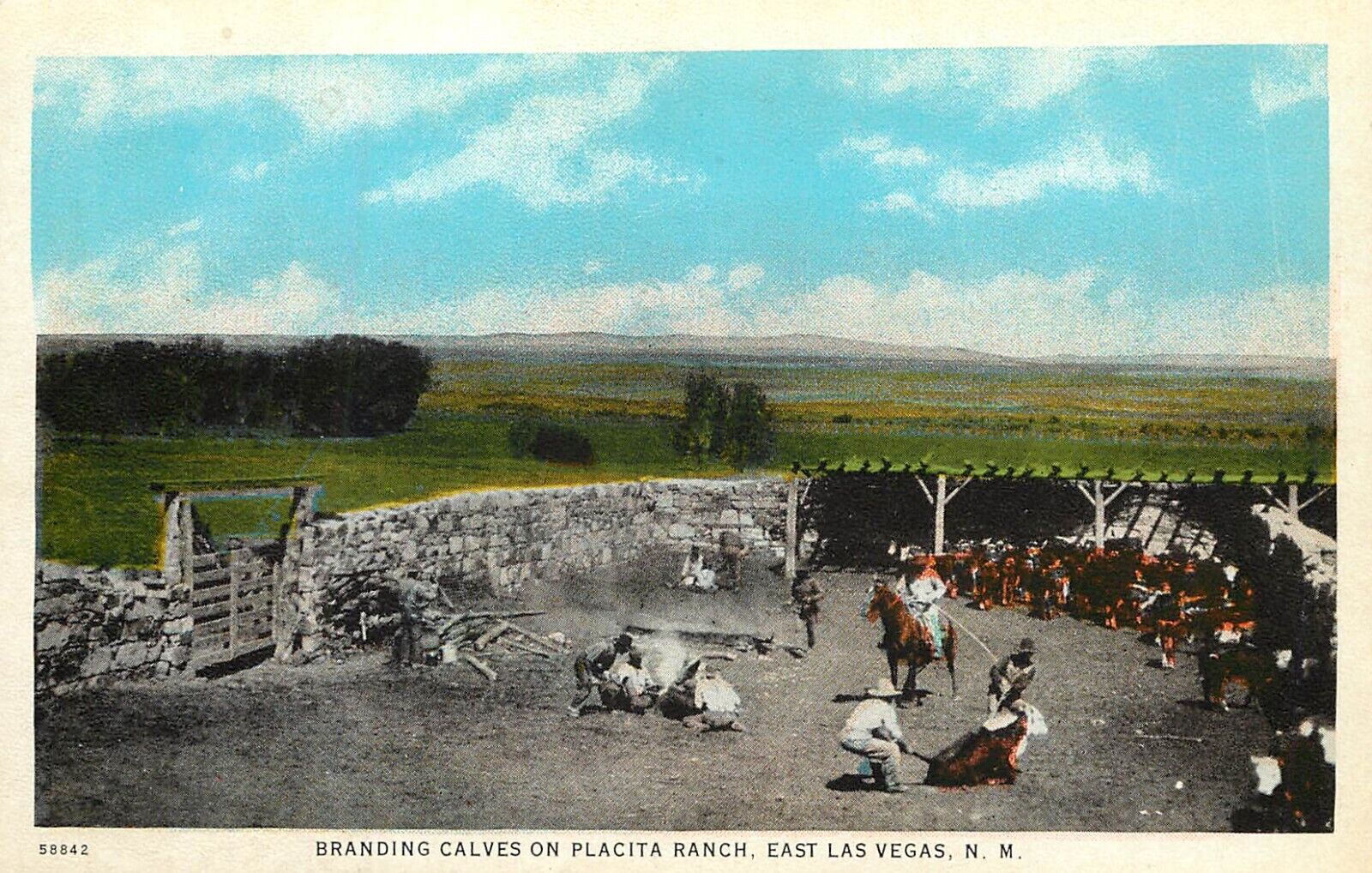 c1920 Postcard Branding Calves on the Placita Ranch, East Las Vegas NM