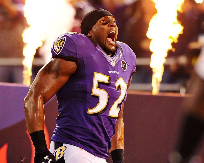2012 Baltimore Ravens RAY LEWIS 8X10 PHOTO PICTURE 22050700231