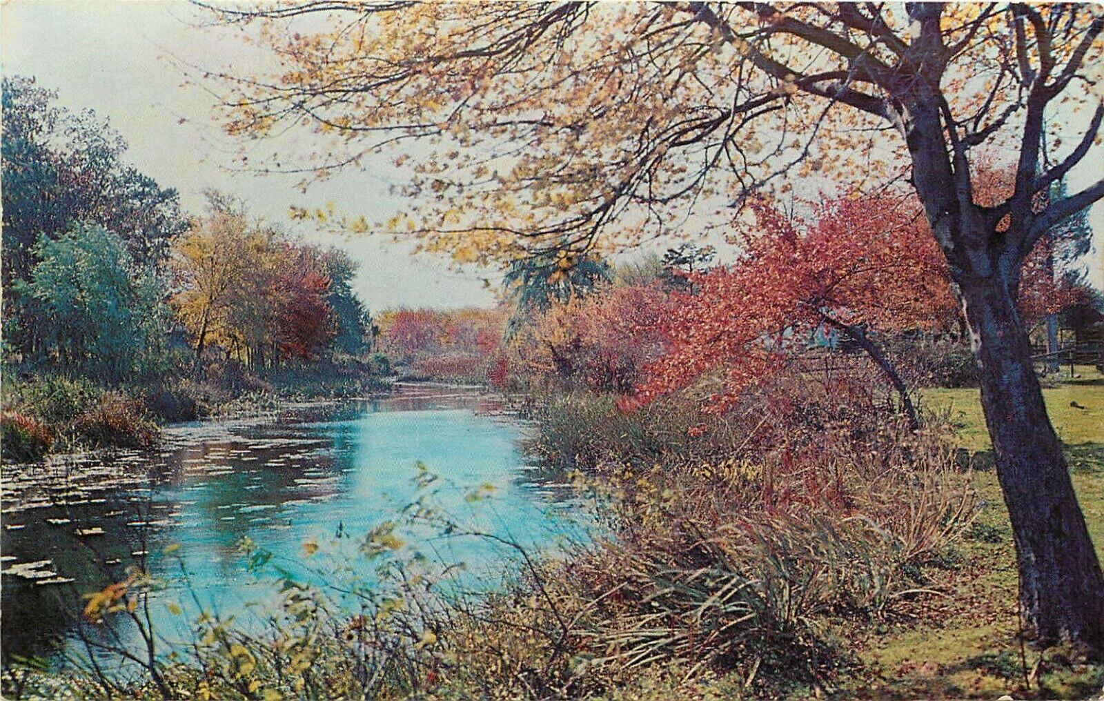 Long Island NY New York Park River Lake Autumn Fall scene Postcard