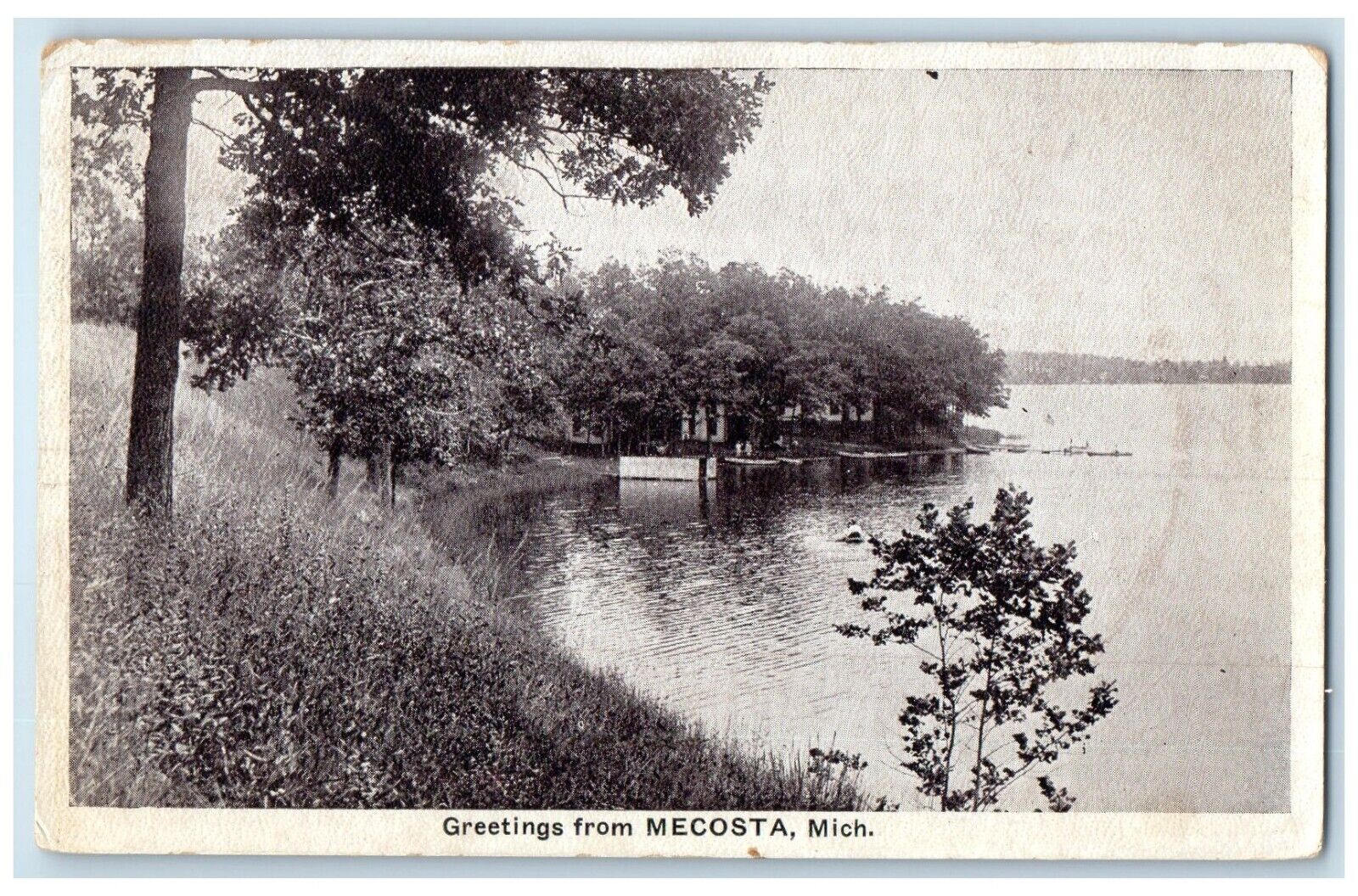 c1910 Scenic View Lake Trees River Greetings From Mecosta Michigan MI Postcard