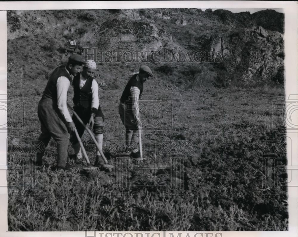 1947 Press Photo Ankara Turkey Farmers Tending Fields with Primitive Tools
