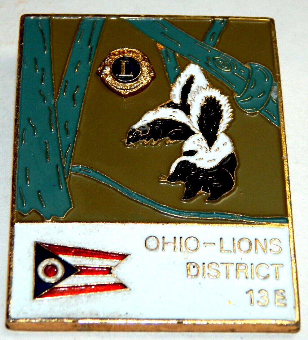 Vintage Lions Club Ohio Lions District 13E Pin
