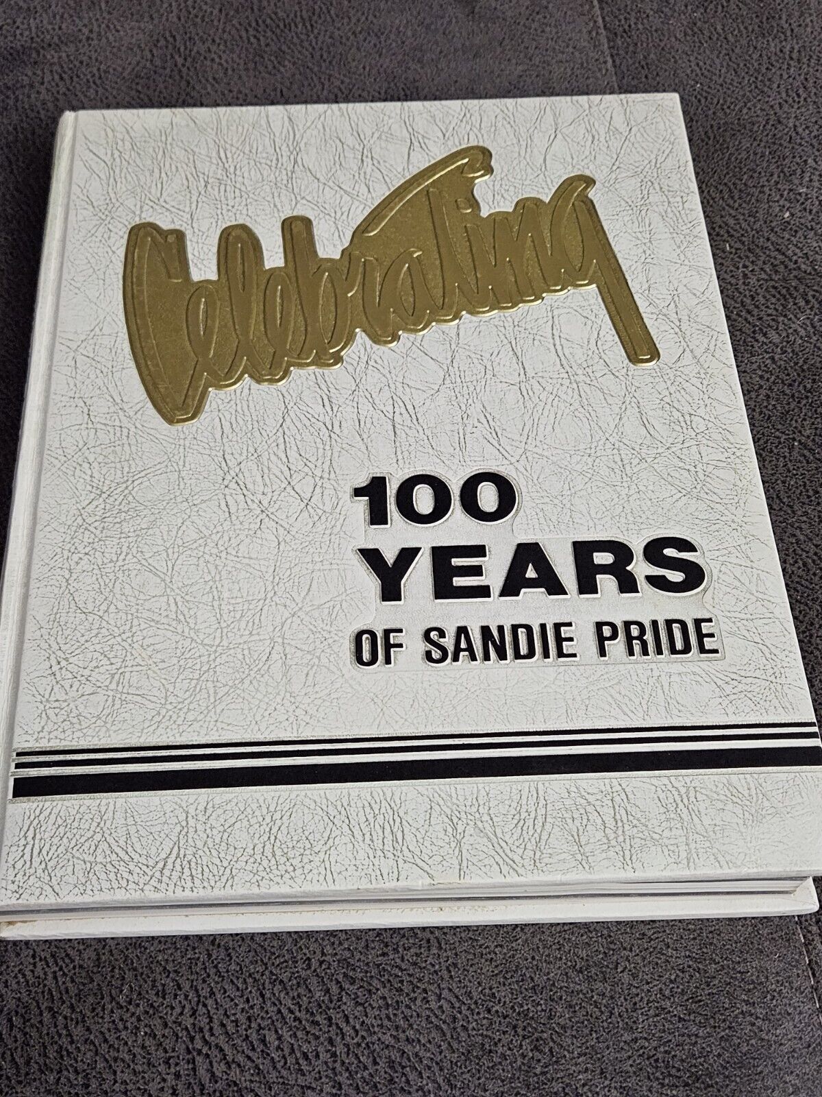 1990 La Airosa, Sandie Pride Yearbook, Amarillo High School, Amarillo,Texas (89)