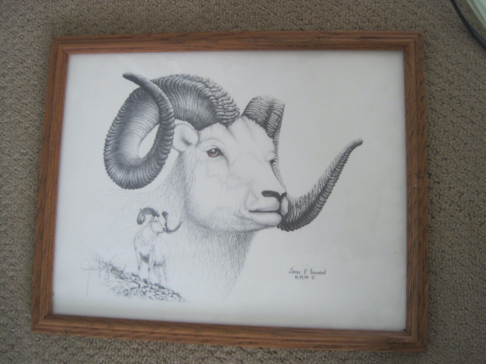 James P. Townsend Big Horn Sheep Drawing Print Signed 10 1985 Vintage