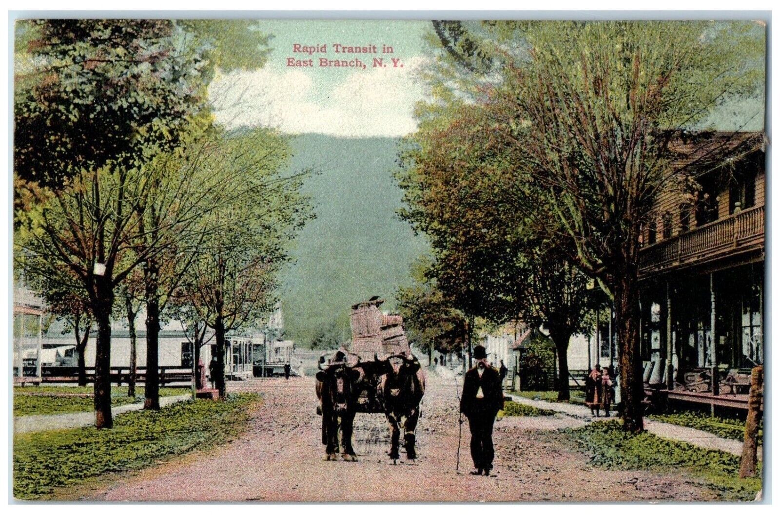 1910 East Transit OX And Carriage Dirt Road East Branch New York NY Postcard