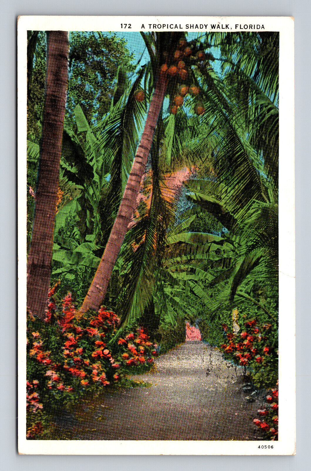 1933 WB Postcard Tropical Shady Walk Florida FL Flowers Palm Trees Coconuts