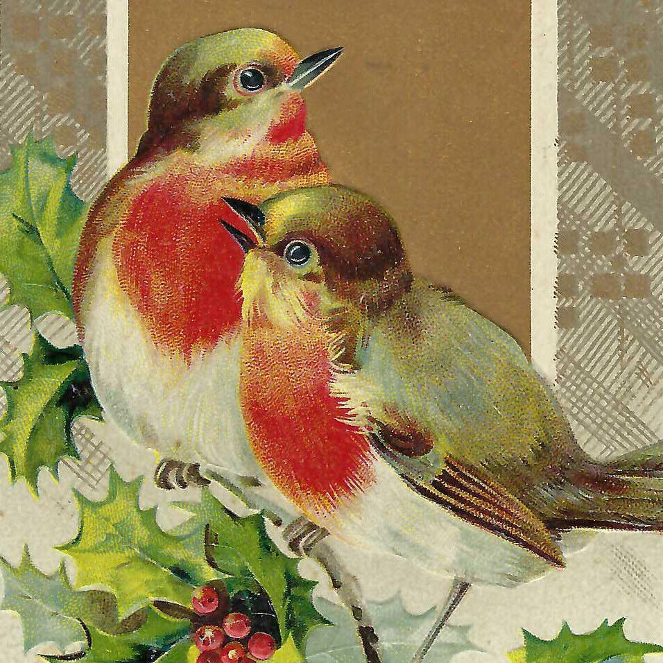 Antique 1920s A Merry Christmas Postcard Red Berries Finch Birds
