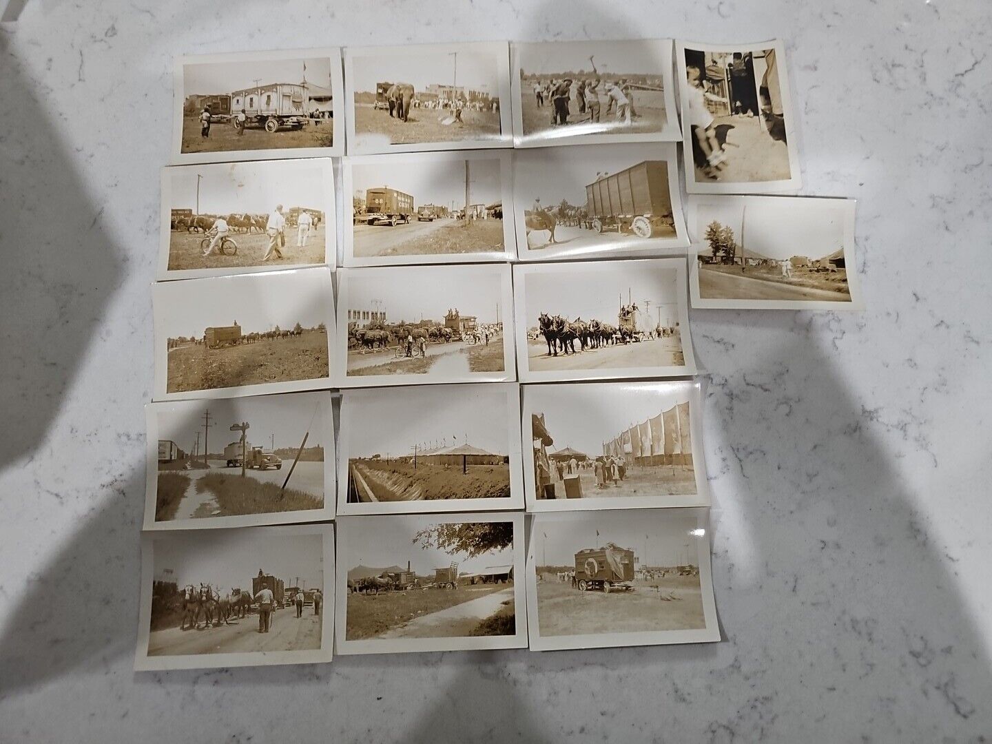 hagenbeck wallace circus photos 1937 Lot Of 17 Size 3 1/5 X 2 1/5 Inches Lot #2