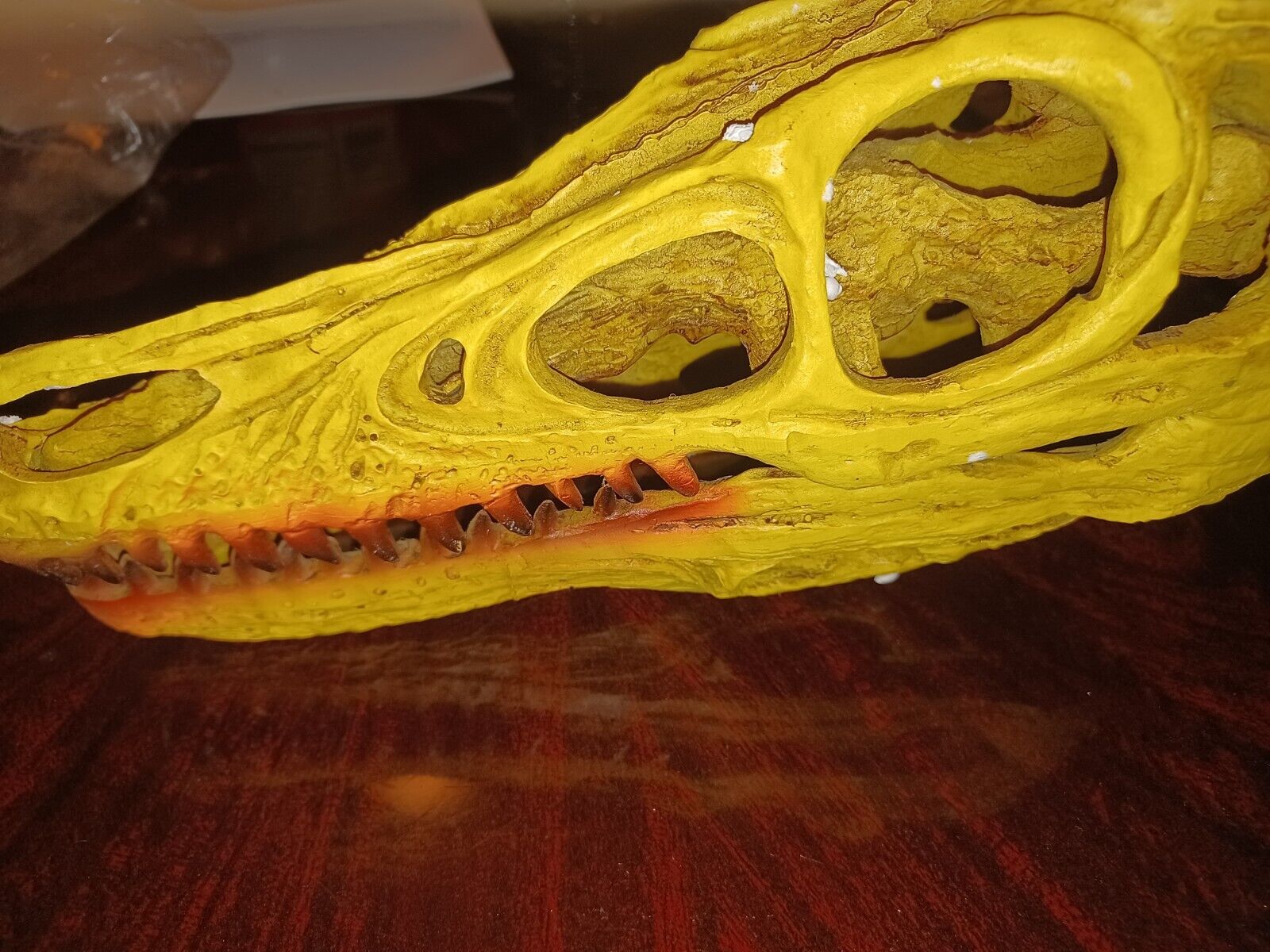 Raptor Dinosaur Skull Model Resin Skull Replica