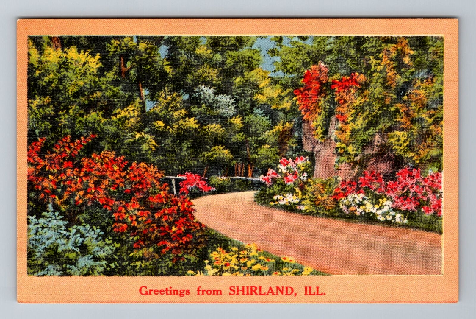 Shirland IL-Illinois, Scenic Greetings Flowered Roadway Vintage Postcard