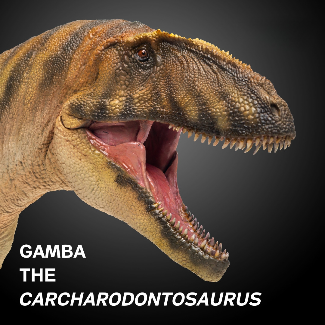 PNSO Prehistoric Dinosaur Models:50 Gamba The Carcharodontosaurus