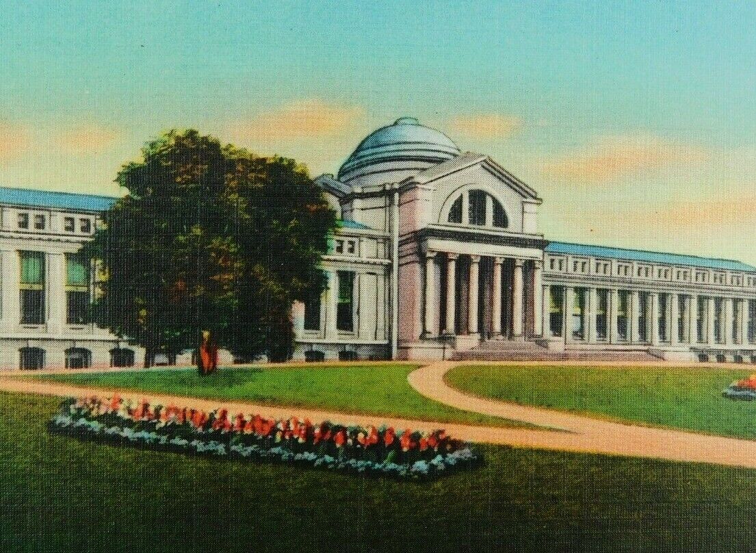 New National Museum Washington D.C. Painted Unposted Linen Vintage Postcard