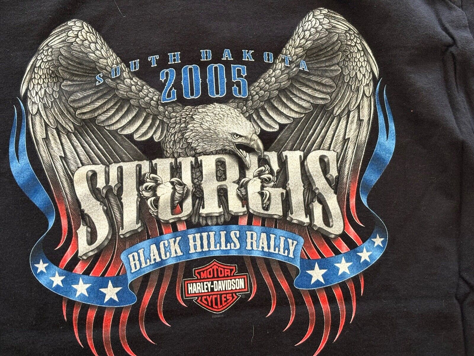 Harley-Davidson 2005 Sturgis L T-Shirt BUFFALO CHIP Black Hills Rally SD