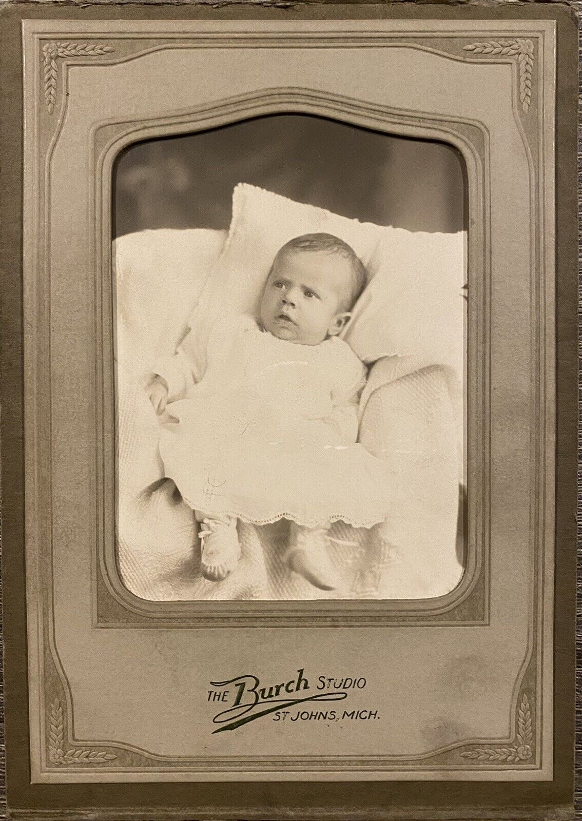 Vintage Cabinet Card 1880s The Burch Studio St. Johns Michigan Retro Photograph